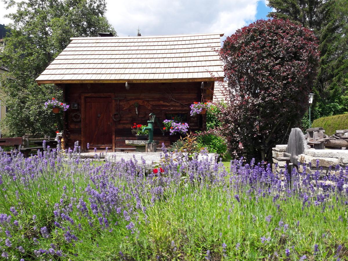 Hotel Stegmuehlhof Mauterndorf  Exterior foto